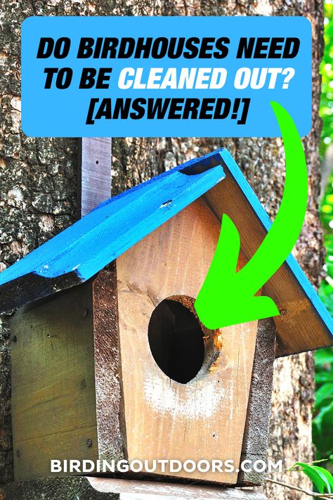 Bird And Butterfly Garden Ideas, Pallet Wood Bird House, Bird Houses Ideas Diy Homemade, Decorating Bird Houses Ideas, How To Build A Bird House, Wooden Bird Houses Painted, Blue Bird Houses Diy, Diy Bird Houses Ideas How To Make, Easy Bird Houses To Make