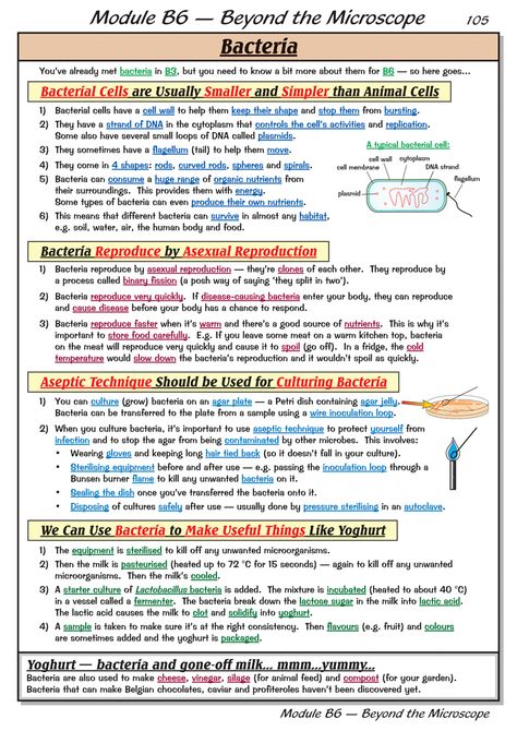 Bacteria Notes Biology, Science Revision Notes Biology, Biology Revision Gcse, Microbiology Notes, Gcse Science Revision, Microbiology Study, Nursing School Studying Cheat Sheets, Igcse Biology, Biochemistry Notes