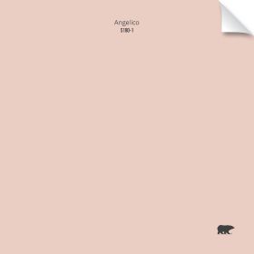 Angelico S180-1 | Behr Paint Colors Angelico Behr Paint, Behr Angelico, Best Blush Paint Color, Nude Wall Color, Behr Blush Pink Paint Colors, Blush Wall Color, Pink Paint Swatches, Paint Color Swatches, Pink Paint Colors