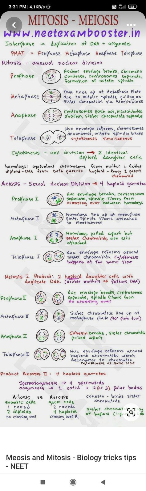 Short notes or kinda flashcards of biology 11 Biology Notes, Icse Class 10 Biology Notes, Class 11 Biology Notes Cell Cycle And Cell Division, Cell Cycle And Cell Division Mind Map, Cell Cycle And Cell Division Notes For Neet, Bio Notes Class 11, Cell The Unit Of Life Notes For Neet, Biomolecules Notes Biology Class 11, Biology Neet Tricks