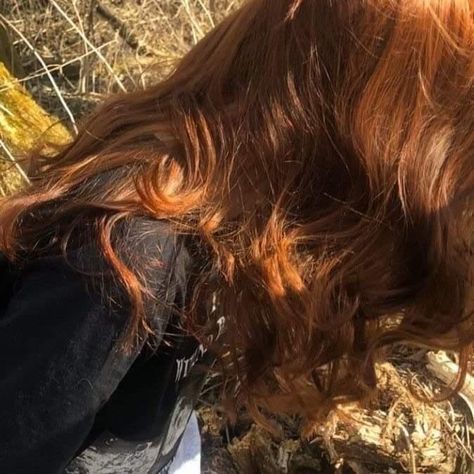 Fall Red Hair, Orange Brown Hair, Light Red Hair, Rachel Elizabeth Dare, Watercolor Eyes, Red Brown Hair, Girl With Brown Hair, Hair Aesthetic, Lily Evans