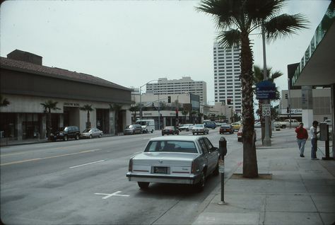 Wilshire Blvd, Santa Monica -- March 1994 Vintage Photo, Santa Monica, Retro Vintage, Quick Saves