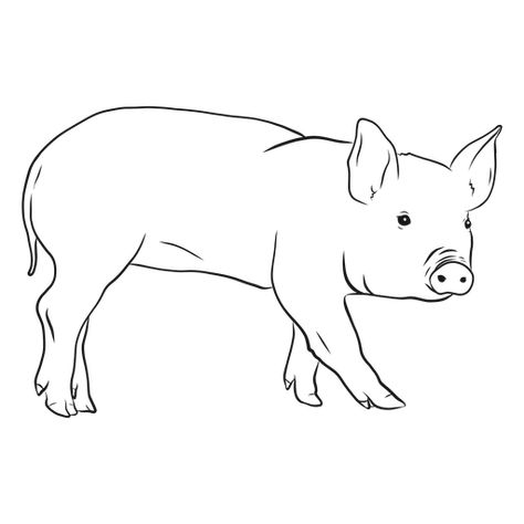 Pig snout ear hoof sketch #AD , #Ad, #SPONSORED, #snout, #sketch, #hoof, #Pig Pig Doodle, Pig Outline, Pig Sketch, Pig Snout, Pig Logo, Farm Animal Painting, Tela Iphone, Graphic Desi, Pig Drawing