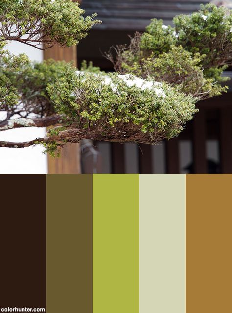 Japan Color Scheme from colorhunter.com Japan Color Palette, Japanese Color Palette, Garden Branding, Japandi Color Palette, Branding Moodboard, Travel Website Design, Beer Store, Japan Color, Japanese Colors