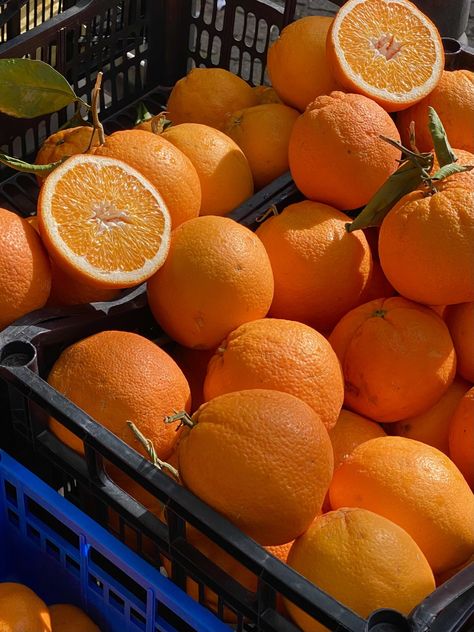 Sicily produces almost 4 million tons of citrus fruits a year, but it is the orange that reigns supreme. https://italysegreta.com/sicily-the-island-of-orange-groves/ Orange Groves, Orange Trees, Valencia Orange, Orange Grove, Orange Soda, Italy Aesthetic, Citrus Fruits, Orange Aesthetic, Orange Tree