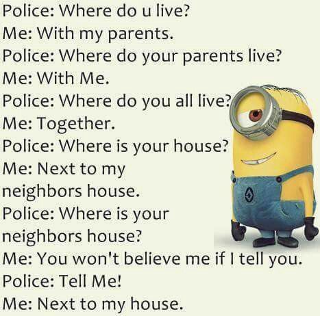 Police: Where do you live? Me: With my parents. Police: Where do your parents live? Me: With me. Police: Where do y'all live? Me: Together. Police: Where is your house? Me: Next to my neighbors house. Police: Where is your neighbors house? Me: You won't believe me if I tell you. Police: Tell me! Me: Next to my house...HeHeHe... Minions Random, Best Kid Jokes, Minions Cute, Police Jokes, Kid Jokes, Minions Fans, Cops Humor, Funny Minion Memes, Police Humor