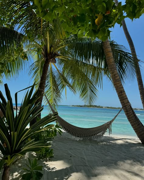 Maldives at its finest ✨🌴 . . . . . #maldives #thulusdhoo #travelphotography #islandvibes #fy Maldives Nature, Maldives Aesthetic, Maldives Travel, Island Vibes, Island Life, Dream Vacations, Summer Aesthetic, Maldives, Tanzania