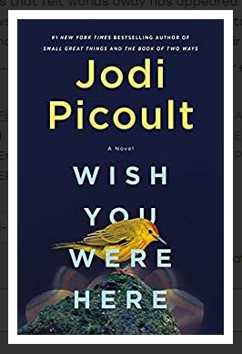 Sister Keeper, My Sisters Keeper, Jodi Picoult, Theory Of Evolution, Kindle Reader, D Book, Human Spirit, Audible Books, Wish You Were Here