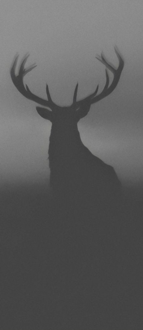 Wendigo Silhouette, Deer Fanart, Deer Aesthetic Dark, Not Deer, Black Deer, Deer Silhouette, Dark Fantasy Art, Dark Fantasy, Black Backgrounds