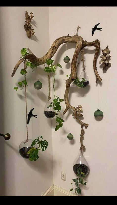 Julkransar Diy, نباتات منزلية, Plant Decor Indoor, Driftwood Crafts, House Plants Decor, Room With Plants, Deco Floral, Rustic Garden Decor, Garden Art Diy