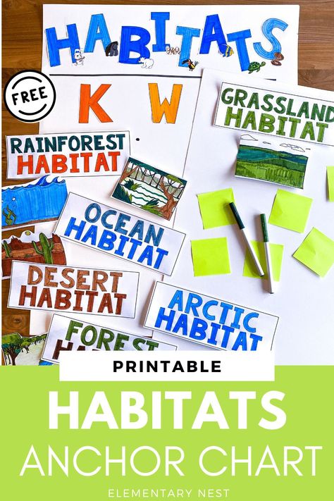 Grab these free Habitats labels and images to help introduce or review different habitats. You can use these free pieces to make anchor charts, or even use them as a matching game for your students. Habitat Anchor Chart, Animal Habitats Kindergarten, Teaching Habitats, Types Of Habitats, Animal Science Activities, Weather Science Activities, Anchor Charts First Grade, Habitat Activities, Teaching Weather