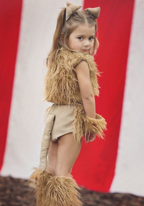 Lion Costume Diy, Costume Lion, Lion Halloween Costume, Lion Halloween, Masks Ideas, Sister Costumes, Circus Lion, Big Top Circus, Lion Tamer