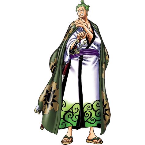 Zoro Full Body Pic, Zoro Full Body, Koala One Piece, One Piece Crew, One Piece Images, Utila, Roronoa Zoro, Black Panther, Anime Fanart