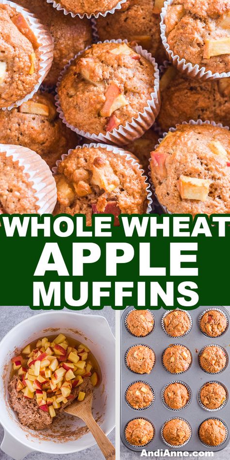 These Whole wheat apple muffins are made using sweet apples, cinnamon, honey, and whole wheat flour making a hearty golden brown muffin. Recipes That Use Whole Wheat Flour, Wheat Breakfast Recipes, Whole Wheat Apple Bread, Whole Wheat Flour Dessert Recipes, Whole Wheat Baked Goods, Whole Wheat Recipes Baking, Whole Wheat Apple Muffins, Whole Wheat Muffins Healthy, Recipes Using Whole Wheat Flour