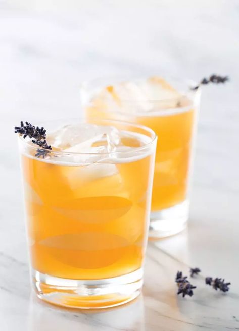 Lavender Lemonade Kombucha - Imbibe Magazine Orgeat Recipe, Shrub Recipe, Kombucha Recipe, Drinking Vinegar, Lavender Lemonade, Cocktail Book, Lemon Mint, Angostura Bitters, Meyer Lemon