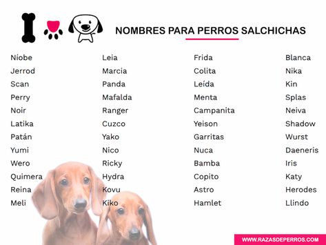 Top 200 Nombres para Perros Salchichas | Actualizado 2021 Color Rosa, Bts, Crochet, Dogs, Quick Saves, Color