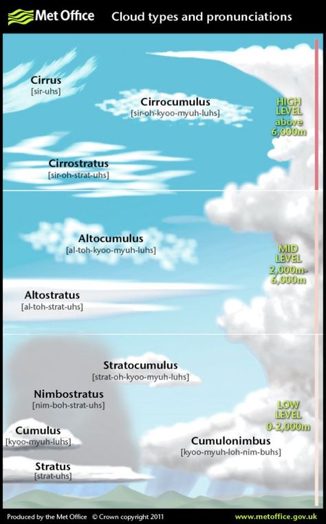 Types Of Clouds, Struktur Teks, Cloud Type, Cc Cycle 1, Weather Science, Weather Unit, Cloud Formations, Earth And Space Science, Weather And Climate