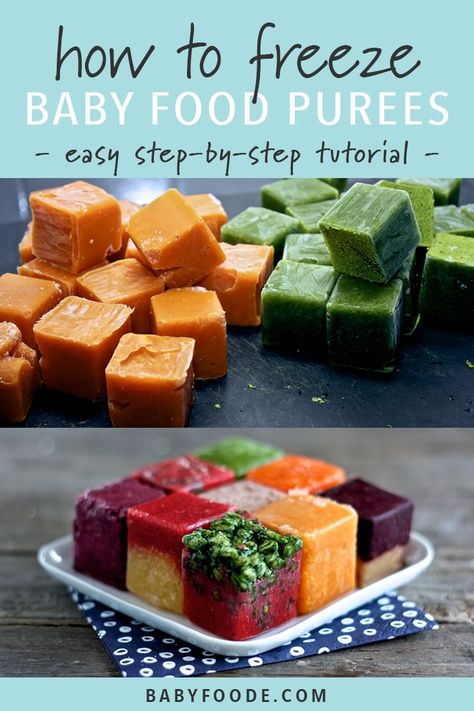 How To: Freeze Baby Purees - Baby Foode Lactation Recipes Easy, Freezer Baby Food, Recipes To Freeze, Baby Purees, Homemade Baby Food Recipes, Easy Homemade Baby Food, Freezing Baby Food, Baby Carrot Recipes, Crunchy Mom