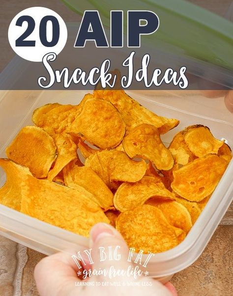 20 AIP Snack Ideas Aip Recipes Autoimmune Protocol, Aip Appetizers, Gundry Diet, Aip Lifestyle, Ra Diet, Aip Snacks, Aip Diet Recipes, Aip Meals, Aip Snack