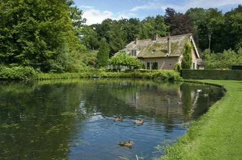 Build A Pond, Pond Construction, Swimming Ponds, Farm Pond, Building A Pond, Natural Swimming Ponds, Diy Pond, Backyard Pond, Pond Waterfall