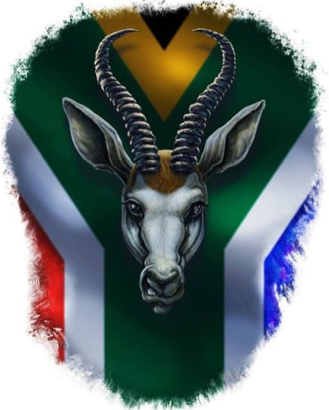 Go Bokke Rugby, Springbokke Rugby, Bokke South Africa, Springbok Rugby Wallpaper, Springboks Rugby South Africa, Rugby Videos, South Africa Quotes, Rugby Wallpaper, Springboks Rugby