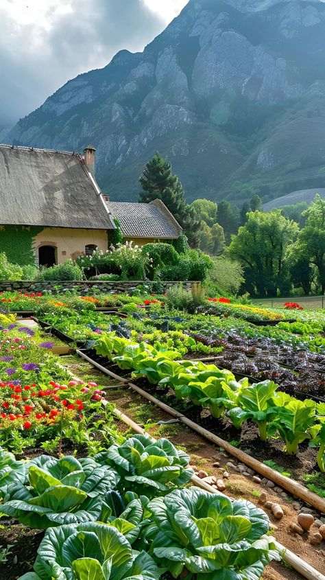 Agriculture Pictures, Agriculture Photography, Mid Century Modern Bathroom, Garden Layout Vegetable, Veggie Patch, Country Landscaping, Vegetable Garden Design, Food Garden, Garden Layout