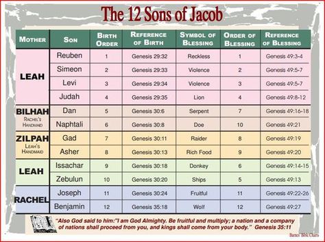 Jacob Family Tree Bible, 12 Sons Of Jacob, Jacob Bible, Bible Charts, Sons Of Jacob, Inductive Bible Study, Birth Order, Bible Study Topics, Bible Study Help