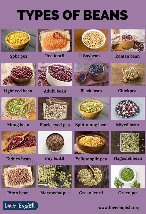 Types Of Beans Chart, Types Of Beans, Food Vocabulary, Food Infographic, Dry Beans, Food Info, Food Out, Cooking Basics, Food Facts