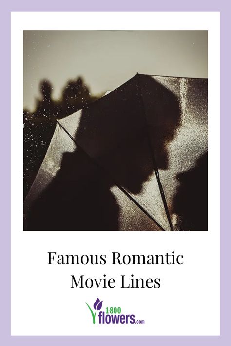 Famous romantic movie lines are hard to forget. Here at 1-800-Flowers, we love movie lines about love. Find all the best love quotes from movies in our latest story. Famous Romantic Movie Quotes, Love Quotes From Movies Romantic, Famous Love Quotes From Movies, Love Songs Aesthetic, Lines About Love, Witty Love Quotes, Movie Quotes Love, Movie Quotes About Love, Love Quotes From Movies