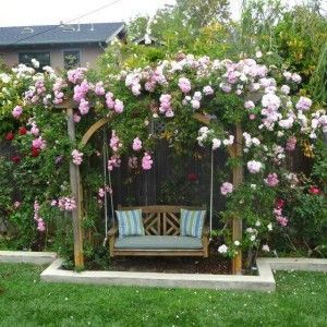 Garden Swing Seat, Pergola Swing, Garden Vines, Garden Arches, Garden Arbor, Garden Swing, Garden Deco, Have Inspiration, Pergola Plans