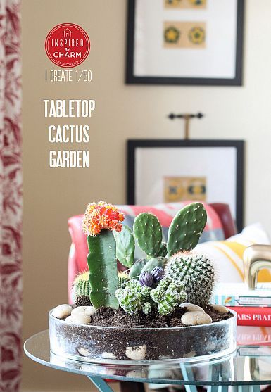 Tabletop Cactus Garden Cacti Collection, Cactus Gardens, Potted Garden, Plant Arrangement, Inspired By Charm, Cactus Planta, Small Cactus, Mini Cactus, Cactus Planter