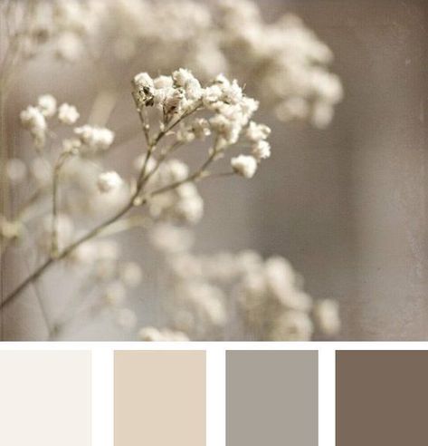 Neutral Living Room Colors, Romantic Photography, Shabby Chic Interiors, Romantic Home Decor, Woman Bedroom, Neutral Living Room, Romantic Homes, Shabby Chic Wedding, Shabby Chic Kitchen