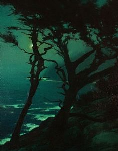 Brian Blood: Misty Moonlight, Point Lobos. Night Place, Creepy Forest, Palm Desert California, Moonlight Painting, Edward Norton, Painting Competition, Palm Desert, Night Scene, Night Painting