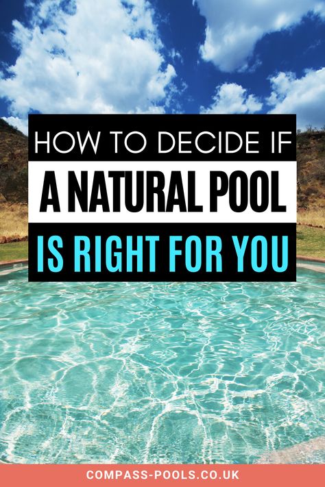 Eco Friendly Swimming Pool, Natural Man Made Pool, How To Make A Natural Swimming Pool, Eco Pools Natural Swimming Ponds, Chlorine Free Pool, Swimming Pool Cost, Pool Cleaning Tips, Swimming Ponds, Pool Chlorine