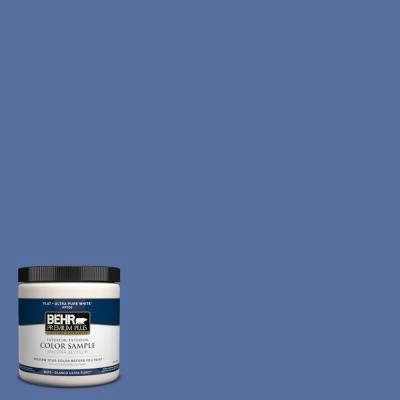 BEHR Premium Plus Cobalt Flame Zero VOC Paint Behr Marquee Paint, Tropical Waterfall, Behr Premium Plus, Behr Marquee, Behr Colors, Mudslide, Paint Sample, Quiet Storm, Behr Paint