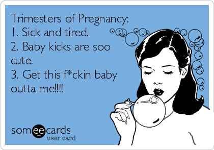 They do all of this for nine months…NINE MONTHS! Pregnancy Memes Funny, Pregnancy Trimesters, Pregnancy Memes, Baby Kicking, Pregnancy Quotes, Trimesters Of Pregnancy, Pregnancy Humor, First Pregnancy, Baby G