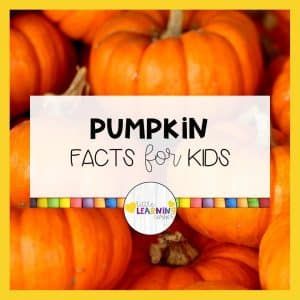 Kindergarten Autumn, Pumpkin Facts, Life Cycle Of A Pumpkin, Autumn Themed Activities, Best Nursery Rhymes, March Math, Parts Of A Pumpkin, Concepts Of Print, Learning Corner