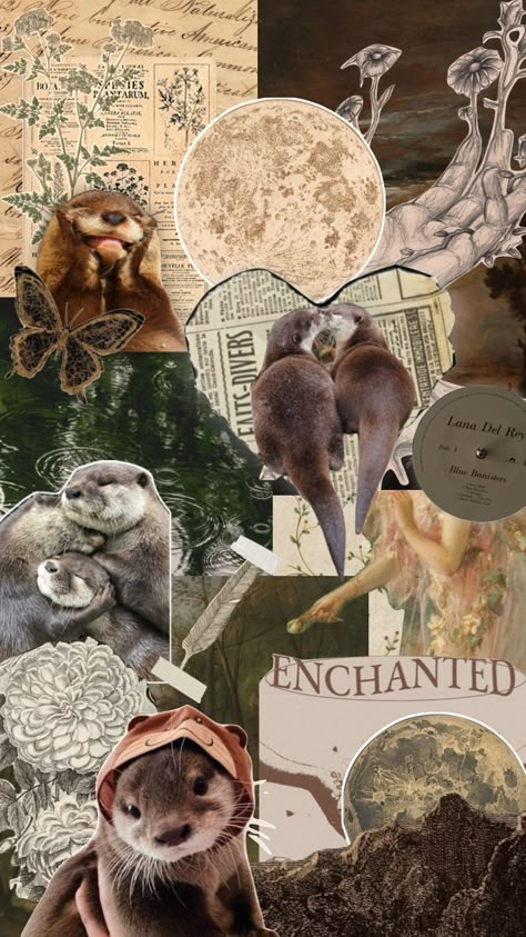 otter theme! i <3 otters with everything in me. they’re just so cute. #otters #moodboard #collage Otters Wallpaper Iphone, Cute Otter Wallpaper Aesthetic, Sea Otter Aesthetic Wallpaper, Otter Aesthetics Wallpaper, Otters Cute Wallpaper, Cute Otters Wallpaper, Sea Otters Aesthetic, Otter Phone Wallpaper, Otter Wallpapers Backgrounds