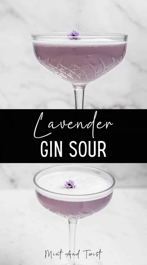 This pretty lavender gin sour cocktail is flavored with homemade honey and lavender syrup. This lavender gin sour is made with gin and citrus. The addition of lavender adds delicious floral flavors to the cocktail. Gin Sour Recipe, Lavender Gin, Honey And Lavender, Sparkling Wine Cocktails, Lavender Cocktail, Lemon Juice Uses, Honey Simple Syrup, Spring Cocktails Recipes, Gin Sour