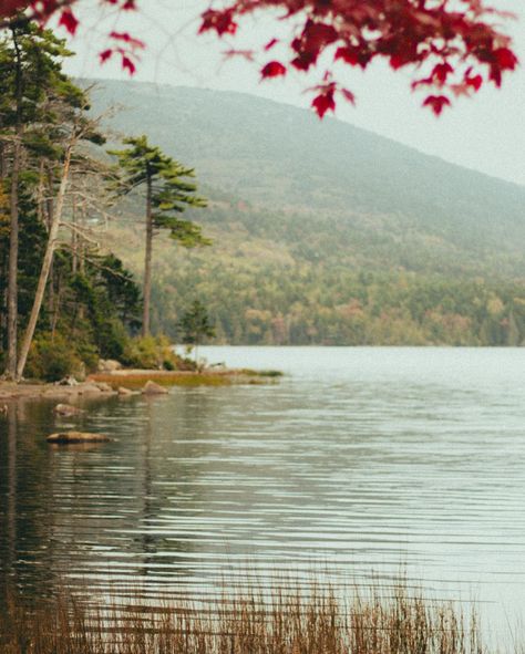 Acadia in the fall 🍂 an absolute dream! 📍Eagle Lake. Pro tip if you want to experience Acadia in the fall but avoid the crowds: most leaf peepers come in October to see the park’s fall foliage, but if you can make it the last week of September instead, the leaves have started to change and the big crowds haven’t hit yet, so it’s the perfect time to go! #wlwcouple #acadia #eaglelake #explorenature #naturelovers #exploretheworld #outdooradventures #mountainlife #queercouple #wlw Acadia Fall, Big Crowd, Fall 24, Pro Tip, Mountain Life, Vintage Landscape, Time To Go, Explore Nature, Fall Foliage