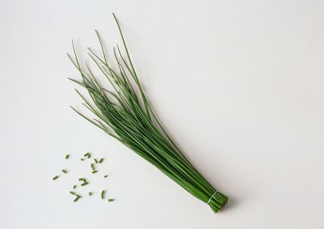 Window Herb Garden, Growing Chives, Garden Tricks, Freezing Fruit, Vegetable Garden Ideas, Chinese Chives, Fairy Food, Gourmet Food Store, Indoor Herb