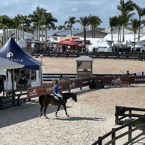 🌴☀️🐴 . . #monksdiaradosboy #lsf #lionsharefarm #teamlionshare #blueeyedhorse #rideforacause #horsegirl #nyc #fashionschool #equestrian #lemieuxproductsofficial #lovelemieux #wellington #wellingtonfl #wef #florida #westpalmbeach Horse Girl, West Palm Beach, School Fashion, Wellington, Blue Eyes, Equestrian, Florida, Zara, Horses