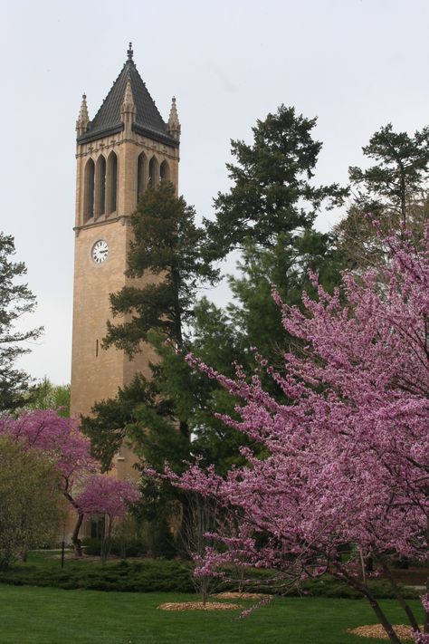 Isu Cyclones, Ames Iowa, Iowa Farms, 1 May, Iowa State University, Iowa State Cyclones, Des Moines Iowa, College Campus, April 2012