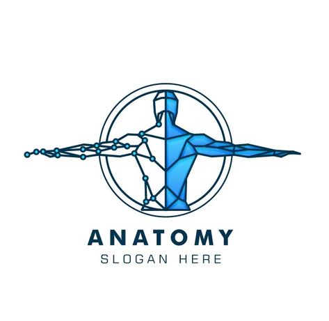 Anatomy Line Art Style Logo Template Vector EPS, AI Physio Logo Design, Physiotherapy Logo Ideas, Massage Logo Design Ideas, Anatomy Line Art, Physio Logo, Medical Logos Inspiration, Logo Design Samples, Massage Logo, Massage Therapy Business