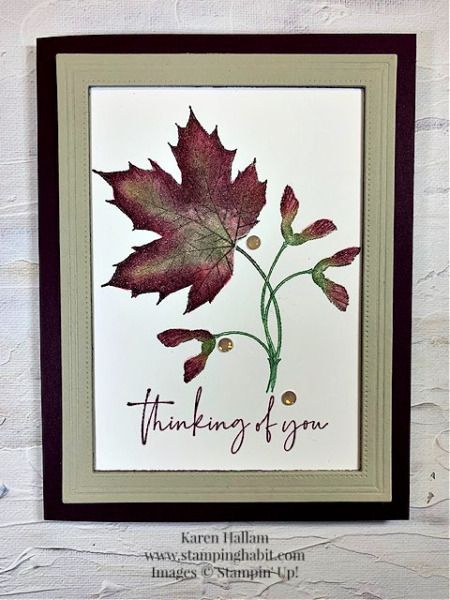 Stampin Up Soft Seedlings, Soft Seedlings, Mary Fish, Stampin Pretty, 42nd Birthday, Leaf Cards, Wink Of Stella, Paper Crafting Projects, Autumn Beauty