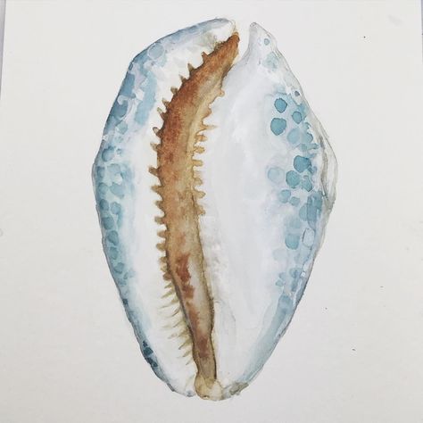 Watercolor Ocean Aesthetic Watercolor, Watercolor Art Coastal, Oyster Watercolor Paintings, Ocean Watercolor Art, Water Coloring Painting Ideas Simple, Shells Watercolour, Simple Water Coloring Ideas, Watercolor Sea Animals, Under The Sea Drawings