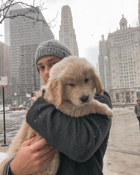 Dylan Strome Dylan Strome, Hockey Guys, Hockey Boards, Washington Capitals, Hockey Players, Life Style, Nhl, Golden Retriever, Best Friend