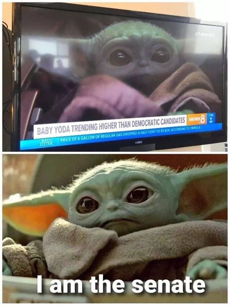 Yoda Meme, Star Wars Meme, Yoda Star Wars, Funny Star Wars Memes, Yoda Funny, Star Wars Jokes, Darth Maul, Star Wars Images, Star Wars Pictures