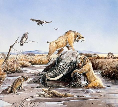 Tar Pit, La Brea Tar Pits, Iron Man Drawing, Prehistoric Man, Prehistoric Wildlife, Prehistoric World, Ancient Animals, Prehistoric Art, Paleo Art