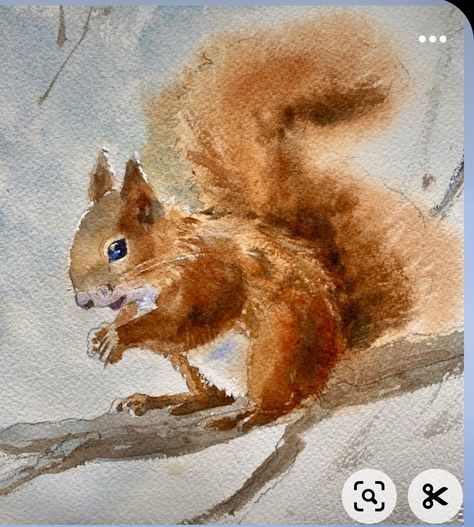 Painting A Squirrel, Squirrel Painting Acrylic, Watercolour Squirrel, Watercolor Squirrel, Aquarell Painting, Squirrel Watercolor, Squirrel Painting, Chickadee Art, Squirrel Illustration